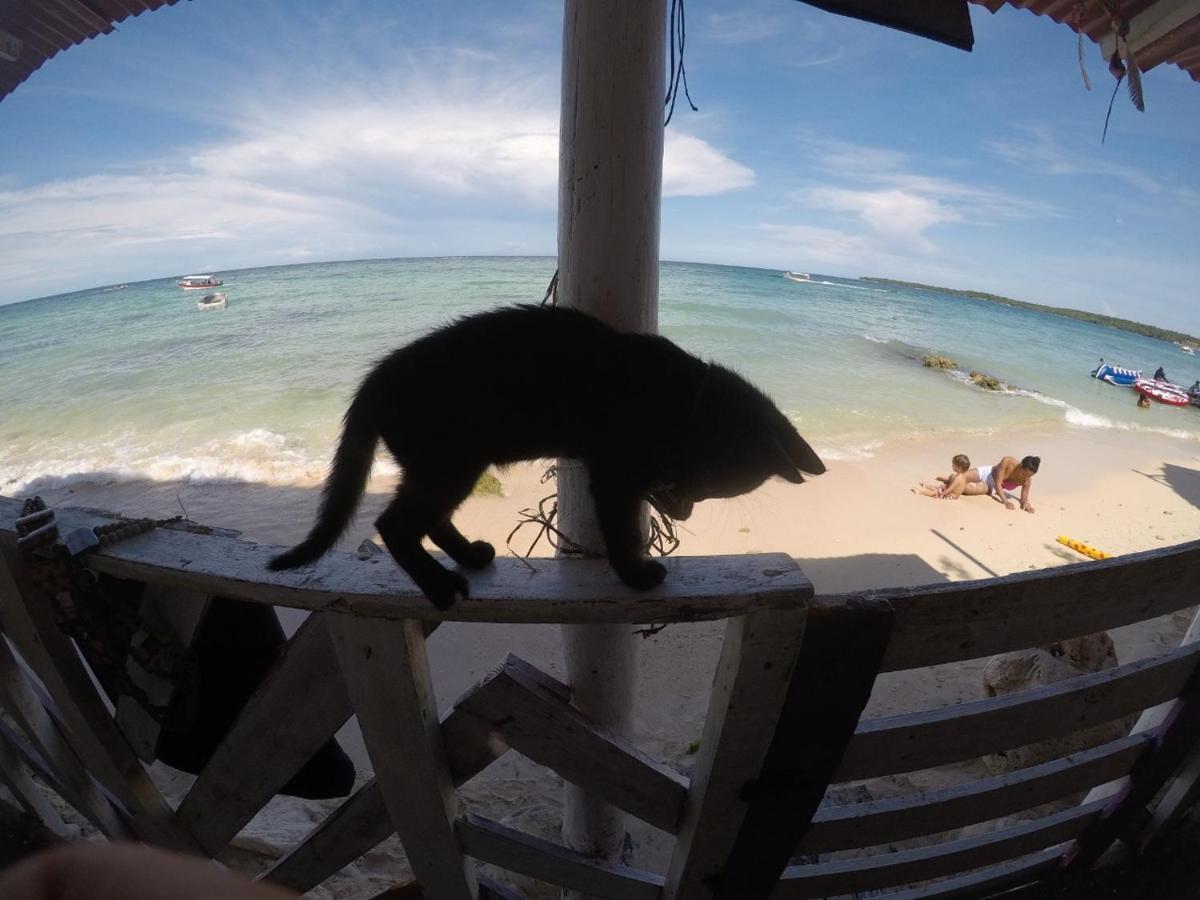 Despertarte Espacio De Arte Y Hospedaje Playa Blanca Dış mekan fotoğraf