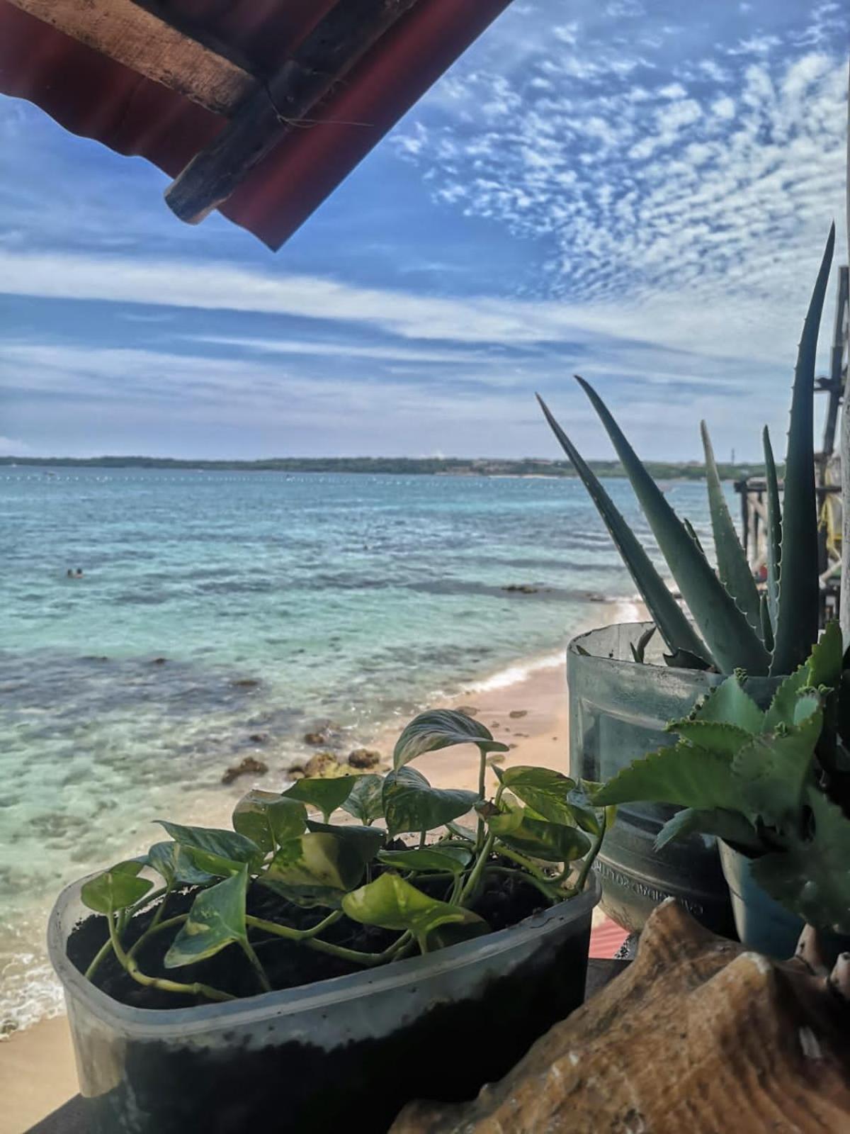 Despertarte Espacio De Arte Y Hospedaje Playa Blanca Dış mekan fotoğraf